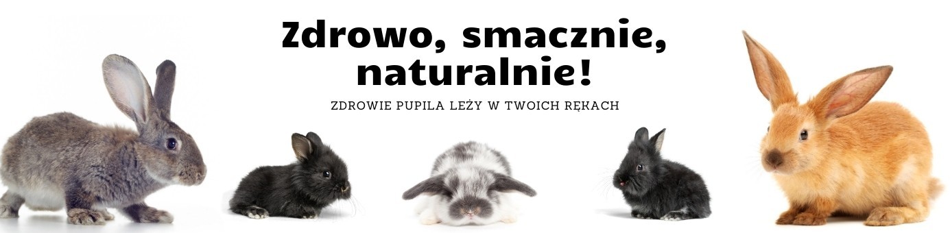 Karma dla królików - Zdrowa i naturalna pasza dla Twojego pupila